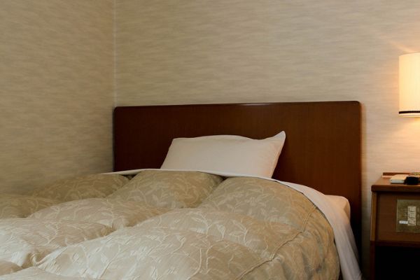Fujieda City Hotel (Fujieda-shi)